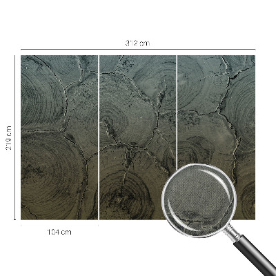 3D-Fototapete fürs Schlafzimmer Holzringe