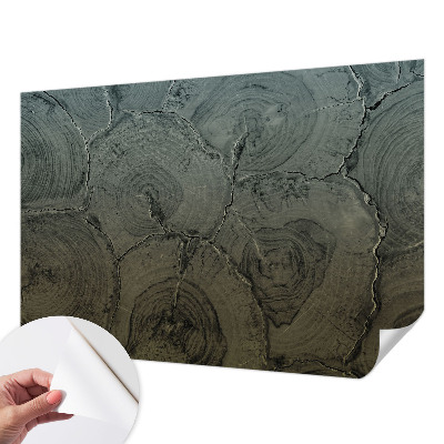 3D-Fototapete fürs Schlafzimmer Holzringe