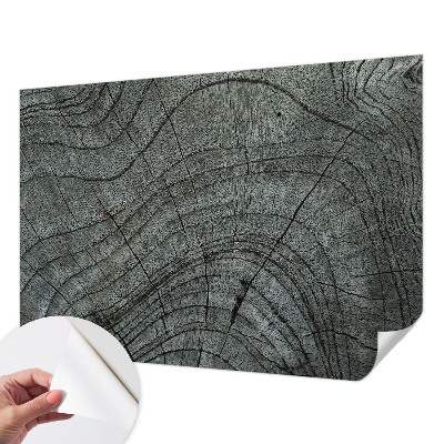 3D-Fototapete fürs Wohnzimmer Maserungsmuster