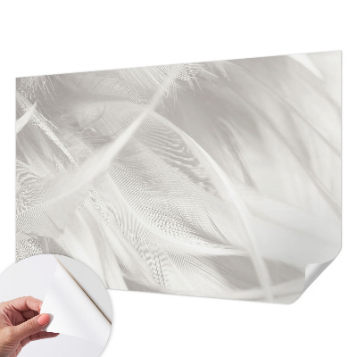 3D-Fototapete fürs Wohnzimmer Feine Federn