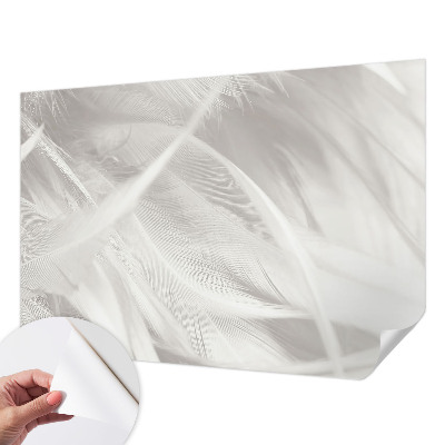 3D-Fototapete fürs Wohnzimmer Feine Federn