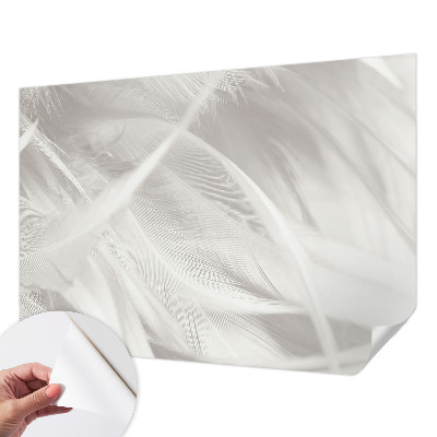 3D-Fototapete fürs Wohnzimmer Feine Federn