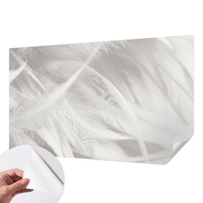 3D-Fototapete fürs Wohnzimmer Feine Federn