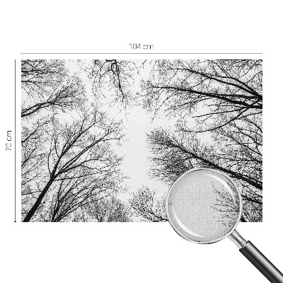 Hochwertige Bildtapete Kahle Äste