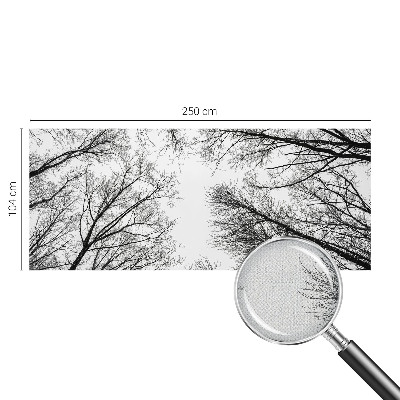 Hochwertige Bildtapete Kahle Äste