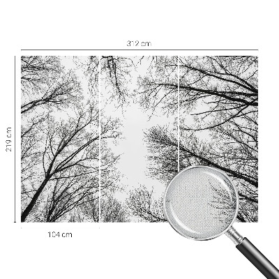 Hochwertige Bildtapete Kahle Äste