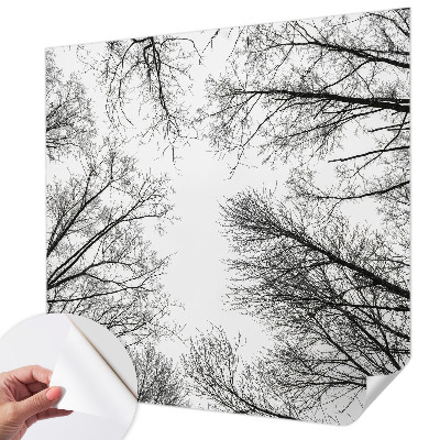 Hochwertige Bildtapete Kahle Äste