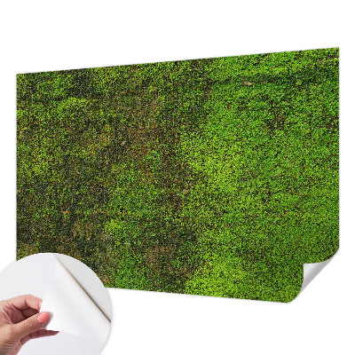 Fototapete in 3D-Optik Grüner Teppich