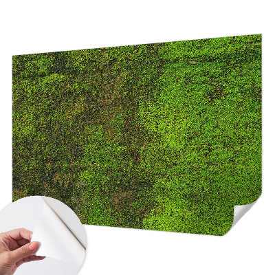 Fototapete in 3D-Optik Grüner Teppich