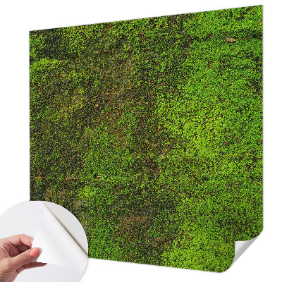 Fototapete in 3D-Optik Grüner Teppich