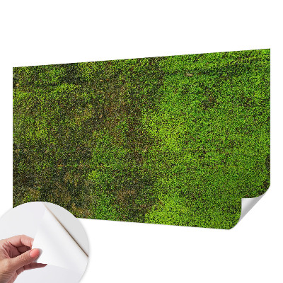 Fototapete in 3D-Optik Grüner Teppich