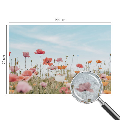 Motivtapete fürs Wohnzimmer Mohnblumen