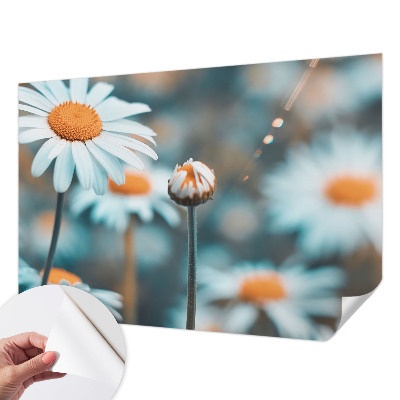 Selbstklebende Fototapete fürs Kinderzimmer Kamillendelikör