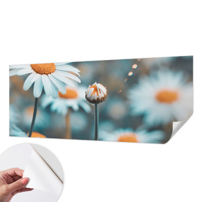 Selbstklebende Fototapete fürs Kinderzimmer Kamillendelikör