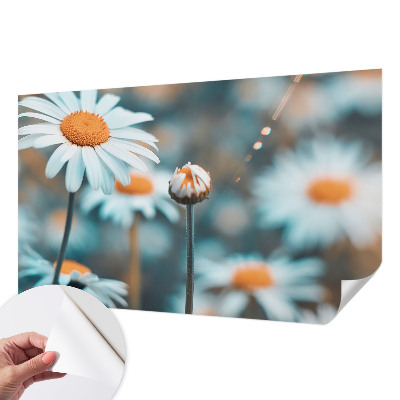 Selbstklebende Fototapete fürs Kinderzimmer Kamillendelikör