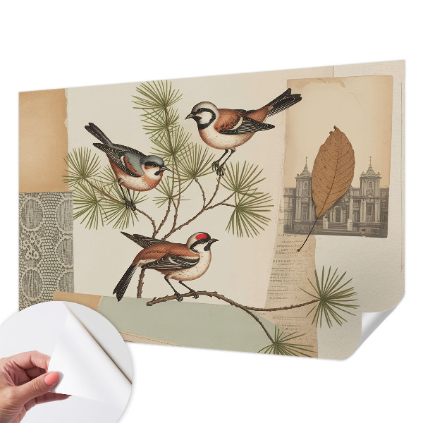 Selbstklebende Fototapete fürs Schlafzimmer Vogelcollage