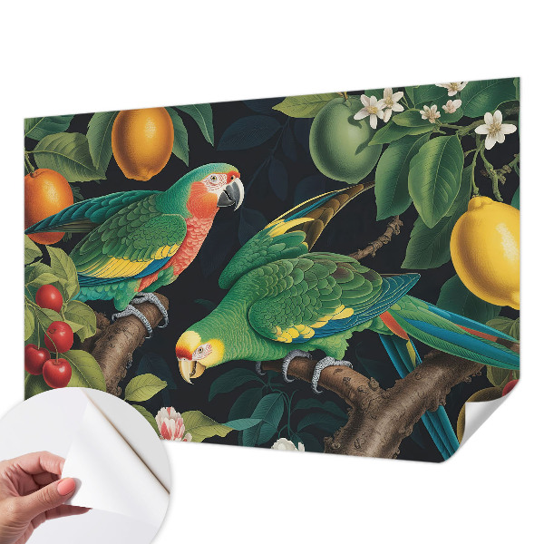 3D-Fototapete Tropisches Abenteuer