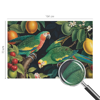 3D-Fototapete Tropisches Abenteuer