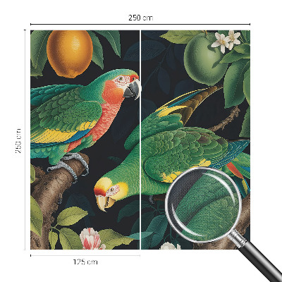 3D-Fototapete Tropisches Abenteuer