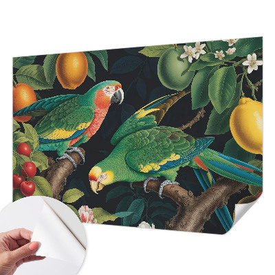 3D-Fototapete Tropisches Abenteuer