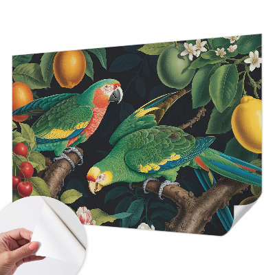 3D-Fototapete Tropisches Abenteuer