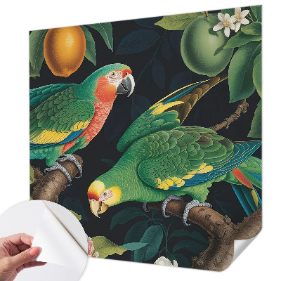 3D-Fototapete Tropisches Abenteuer