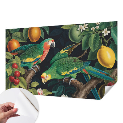 3D-Fototapete Tropisches Abenteuer