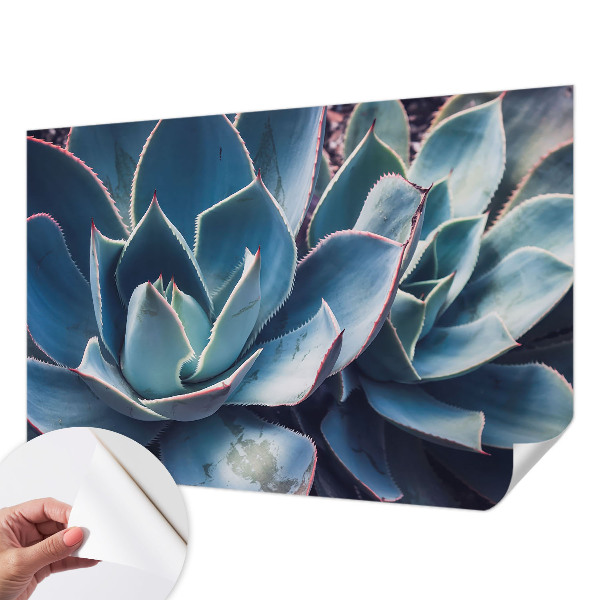 Hochwertige Bildtapete Grüne Aloe