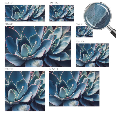 Hochwertige Bildtapete Grüne Aloe