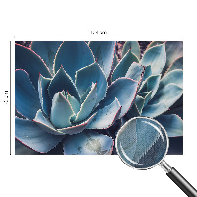 Hochwertige Bildtapete Grüne Aloe