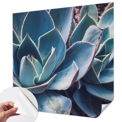 Hochwertige Bildtapete Grüne Aloe