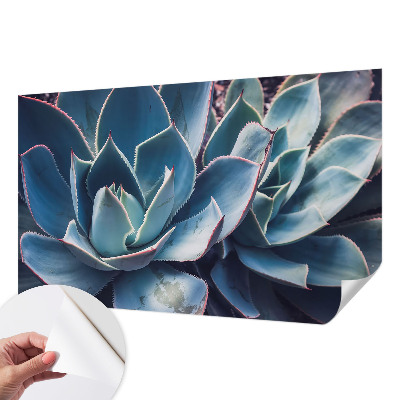 Hochwertige Bildtapete Grüne Aloe