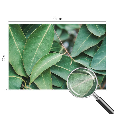 Fototapete nach Maß Grüne Blätter