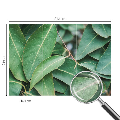 Fototapete nach Maß Grüne Blätter