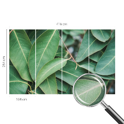 Fototapete nach Maß Grüne Blätter