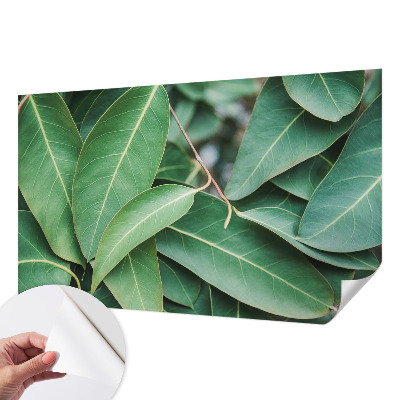 Fototapete nach Maß Grüne Blätter