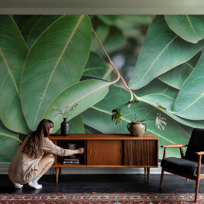 Fototapete nach Maß Grüne Blätter