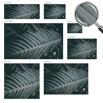 Hochwertige Bildtapete Grünes Blatt