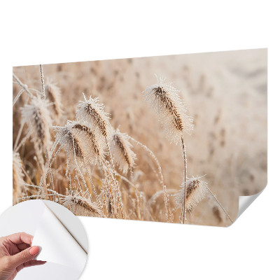 Selbstklebende Fototapete Winterlandschaft