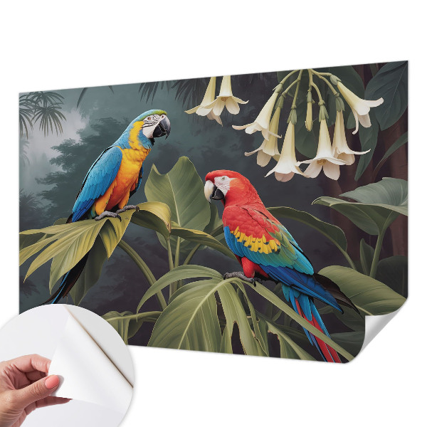 3D-Fototapete fürs Schlafzimmer Bunte Papageien