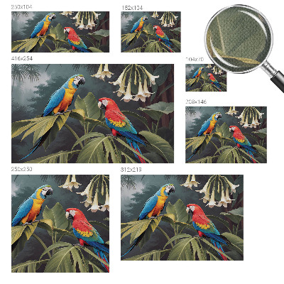 3D-Fototapete fürs Schlafzimmer Bunte Papageien