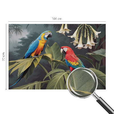 3D-Fototapete fürs Schlafzimmer Bunte Papageien