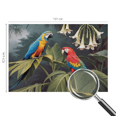 3D-Fototapete fürs Schlafzimmer Bunte Papageien