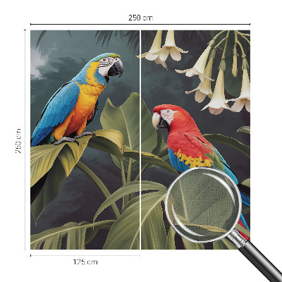 3D-Fototapete fürs Schlafzimmer Bunte Papageien