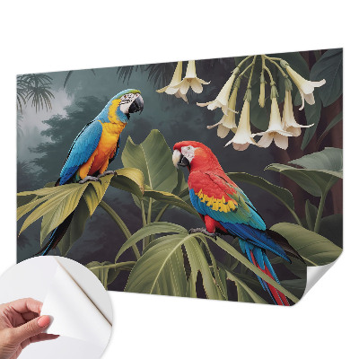 3D-Fototapete fürs Schlafzimmer Bunte Papageien