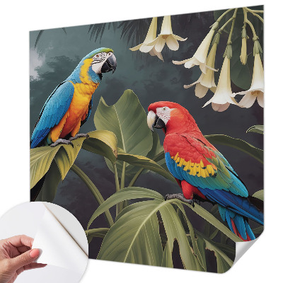 3D-Fototapete fürs Schlafzimmer Bunte Papageien