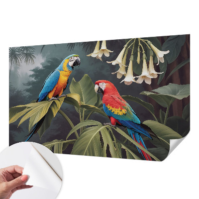 3D-Fototapete fürs Schlafzimmer Bunte Papageien