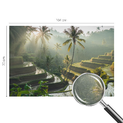 Selbstklebende Fototapete für die Wand Paradiesterrassen