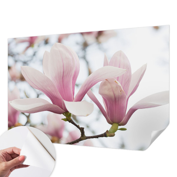 Motivtapete nach Maß Magnolienblüten