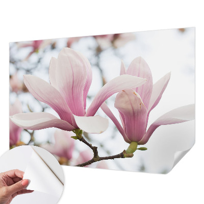 Motivtapete nach Maß Magnolienblüten